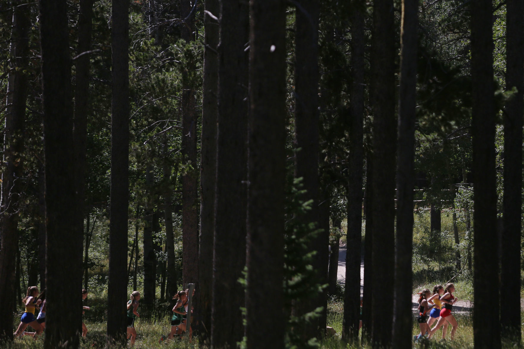 Beartrap XC meet